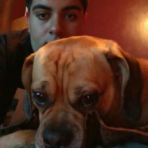 Meet your Posher, Luis